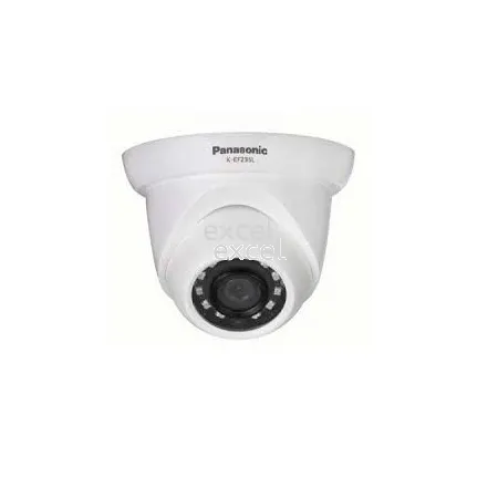 IP/Network Camera